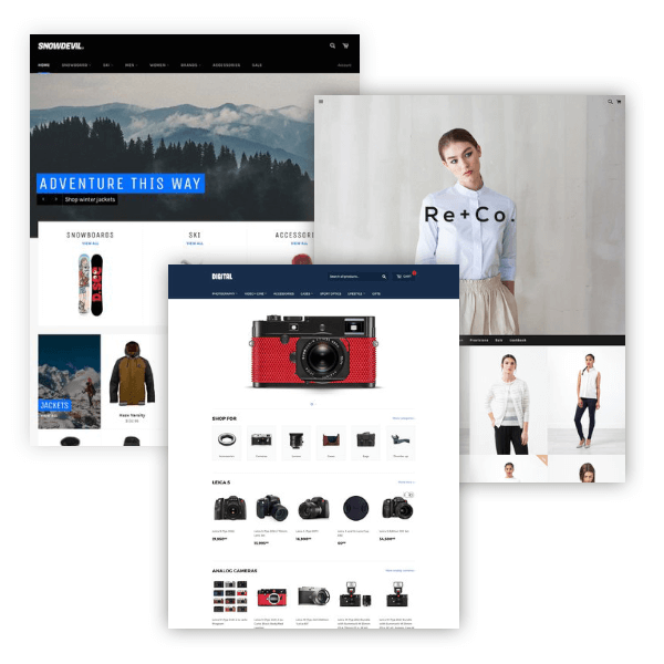 Shopify website examples